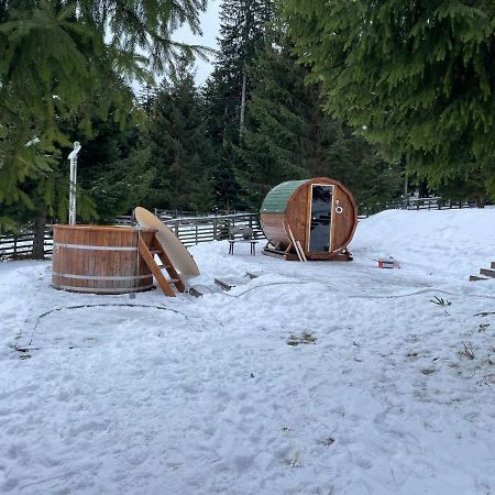 Hotel Floare De Colt Mînăstirea Humorului Zewnętrze zdjęcie