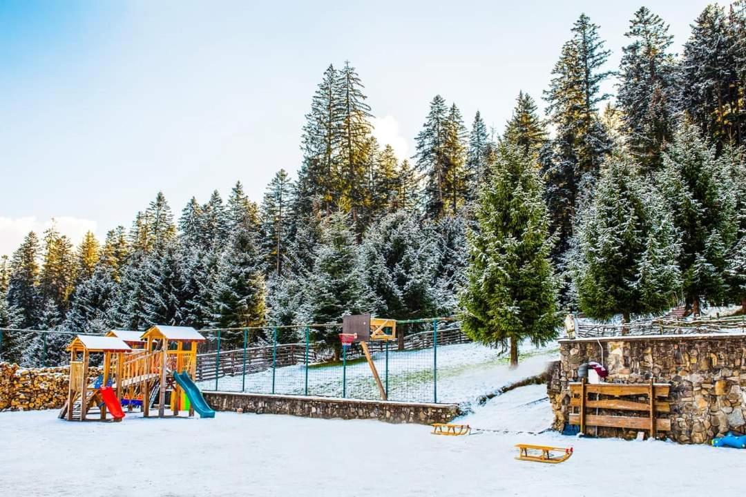 Hotel Floare De Colt Mînăstirea Humorului Zewnętrze zdjęcie