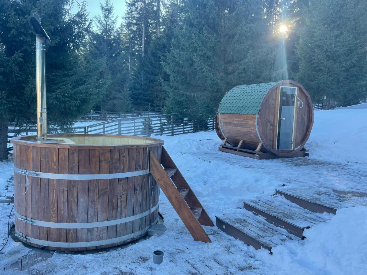 Hotel Floare De Colt Mînăstirea Humorului Zewnętrze zdjęcie