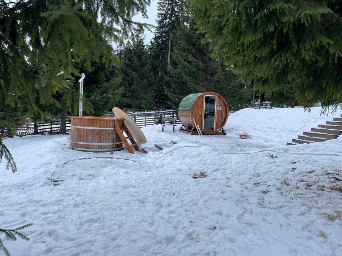 Hotel Floare De Colt Mînăstirea Humorului Zewnętrze zdjęcie