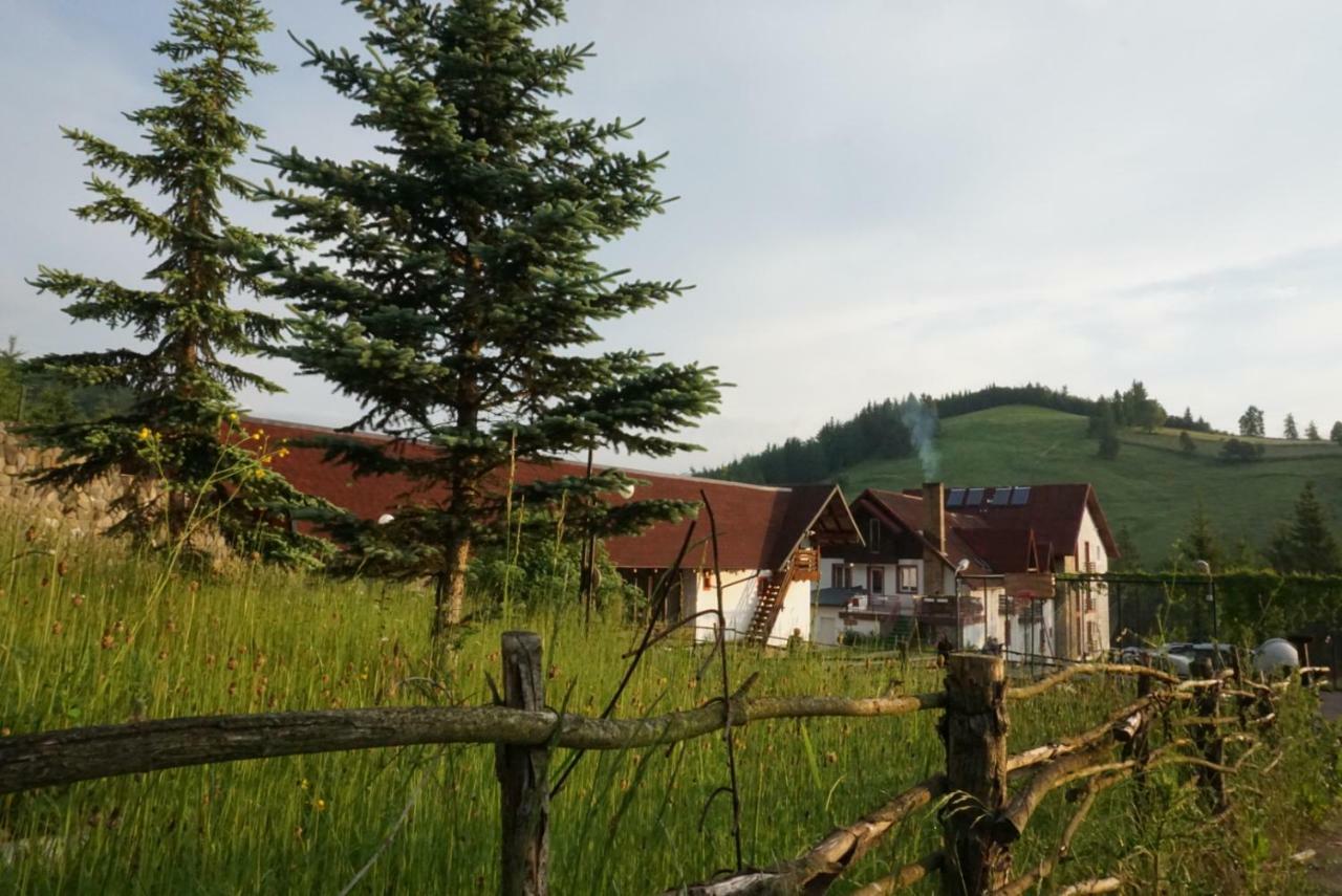 Hotel Floare De Colt Mînăstirea Humorului Zewnętrze zdjęcie
