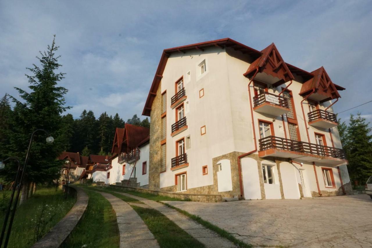 Hotel Floare De Colt Mînăstirea Humorului Zewnętrze zdjęcie