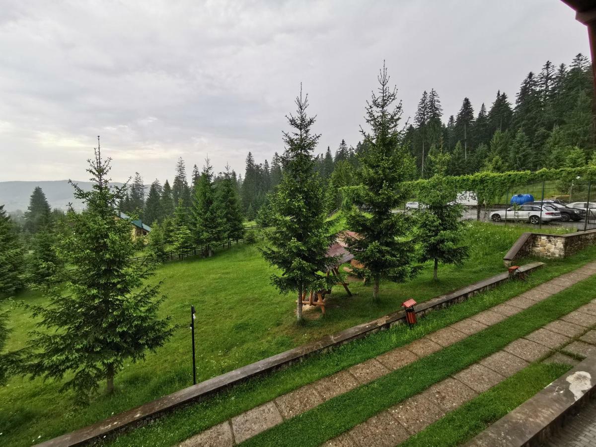 Hotel Floare De Colt Mînăstirea Humorului Zewnętrze zdjęcie