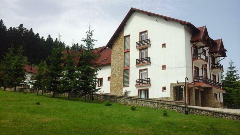 Hotel Floare De Colt Mînăstirea Humorului Zewnętrze zdjęcie