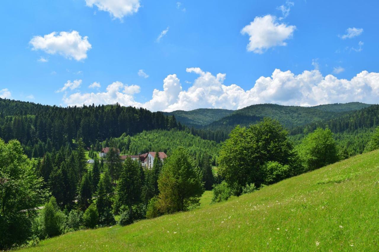 Hotel Floare De Colt Mînăstirea Humorului Zewnętrze zdjęcie