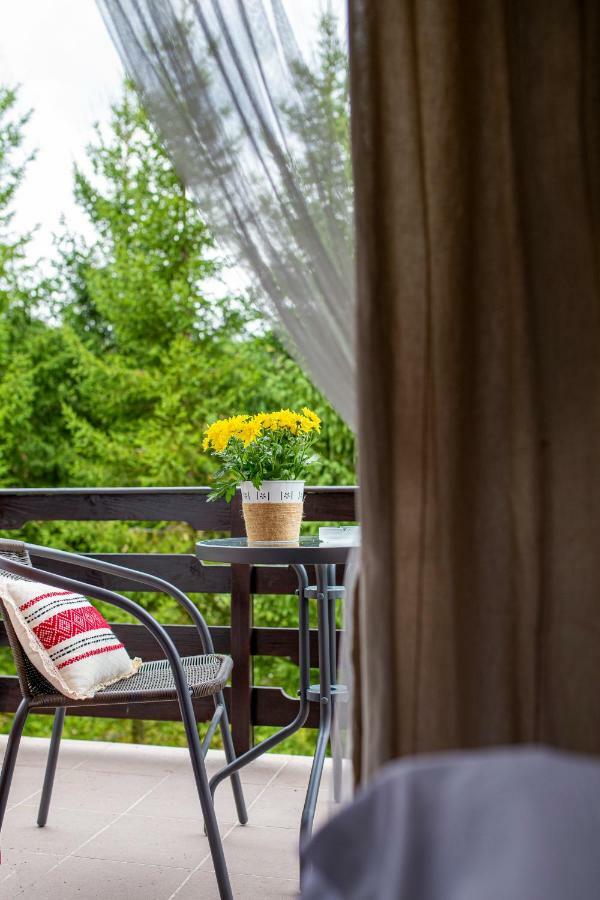 Hotel Floare De Colt Mînăstirea Humorului Zewnętrze zdjęcie